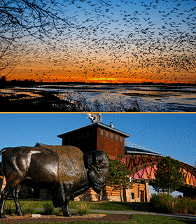 Unique Experience Close to Home